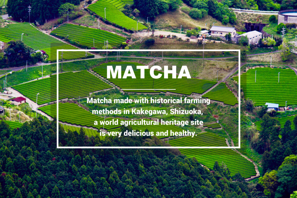 MATCHA